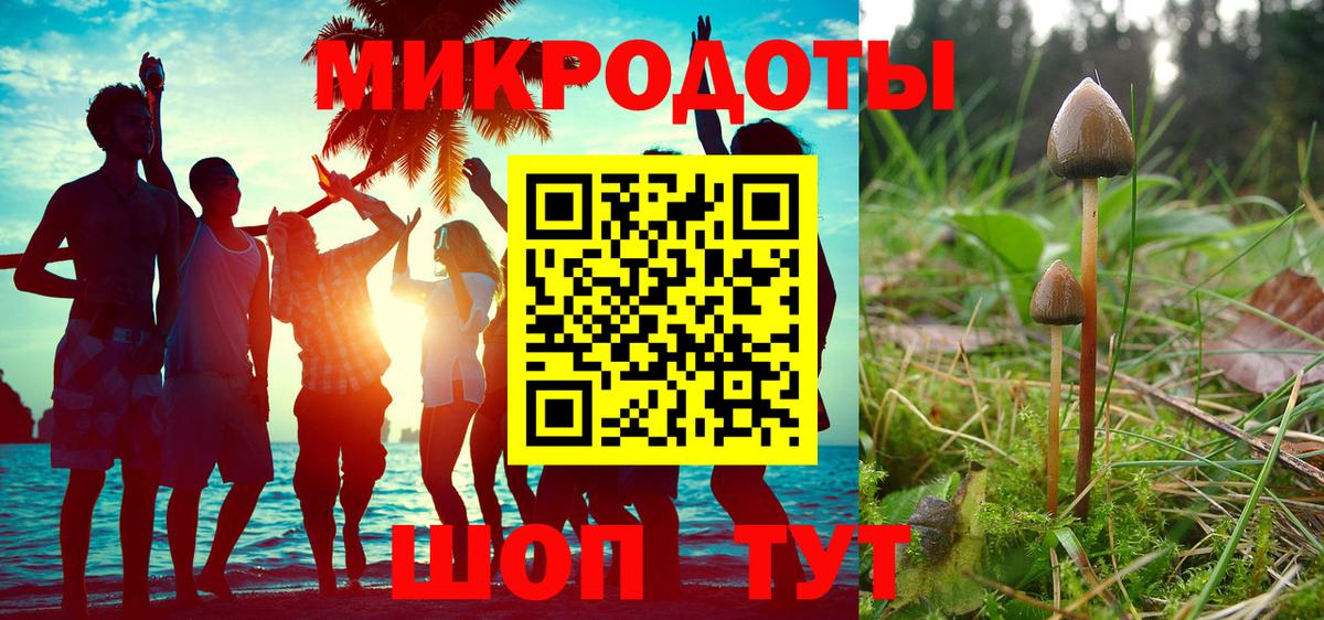 Смоленск  Галлюциногенные грибы Psilocybe  Вход с VPN 